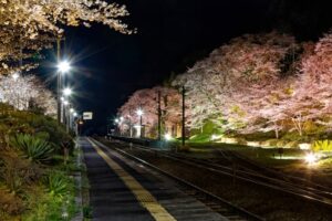 舞木駅　難読駅名