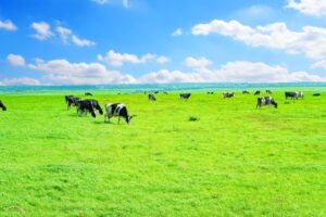 北海道　難読地名　まとめ